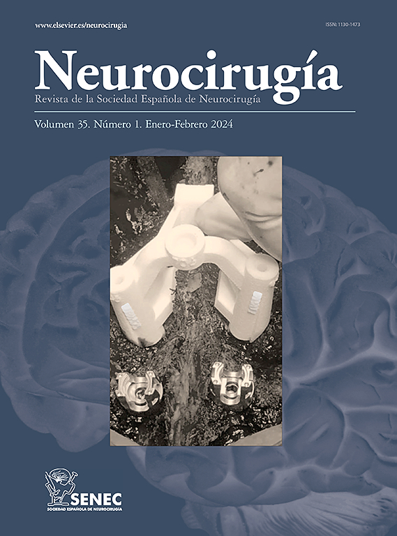 Go to journal home page - Neurocirugía